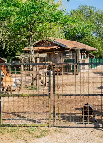 Des enfants à la ferme pédagogique de Biscarrosse