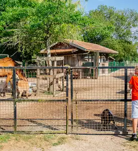 Nuestras actividades con animales para niños