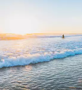 Biscarrosse, destino 100 % atlántico 